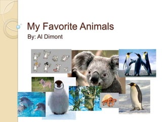 My Favorite Animals
By: Al Dimont
 