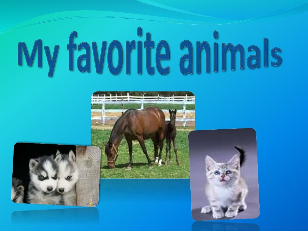 Лайк энималс. Проект по английскому языку my favourite animals. Animals song for kids. Can you do like animals. Май энималс 2 класс.