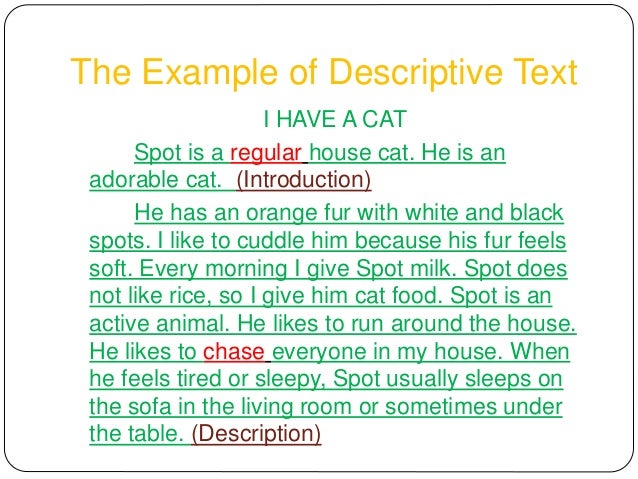 descriptive text about my pet