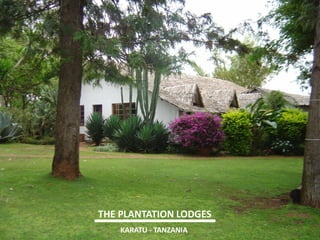 THE PLANTATION LODGES 
KARATU - TANZANIA  