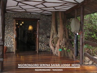 NGORONGORO SERENA SAFARI LODGE HOTEL 
NGORONGORO - TANZANIA  