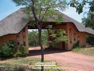 SAFARI LODGES 
GAUTENG – SOUTH AFRICA  