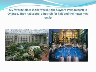 My favorite place in the world is the Gaylord Palm (resort) in
Orlando. They had a pool a hot tub for kids and their own mini
                            jungle.
 