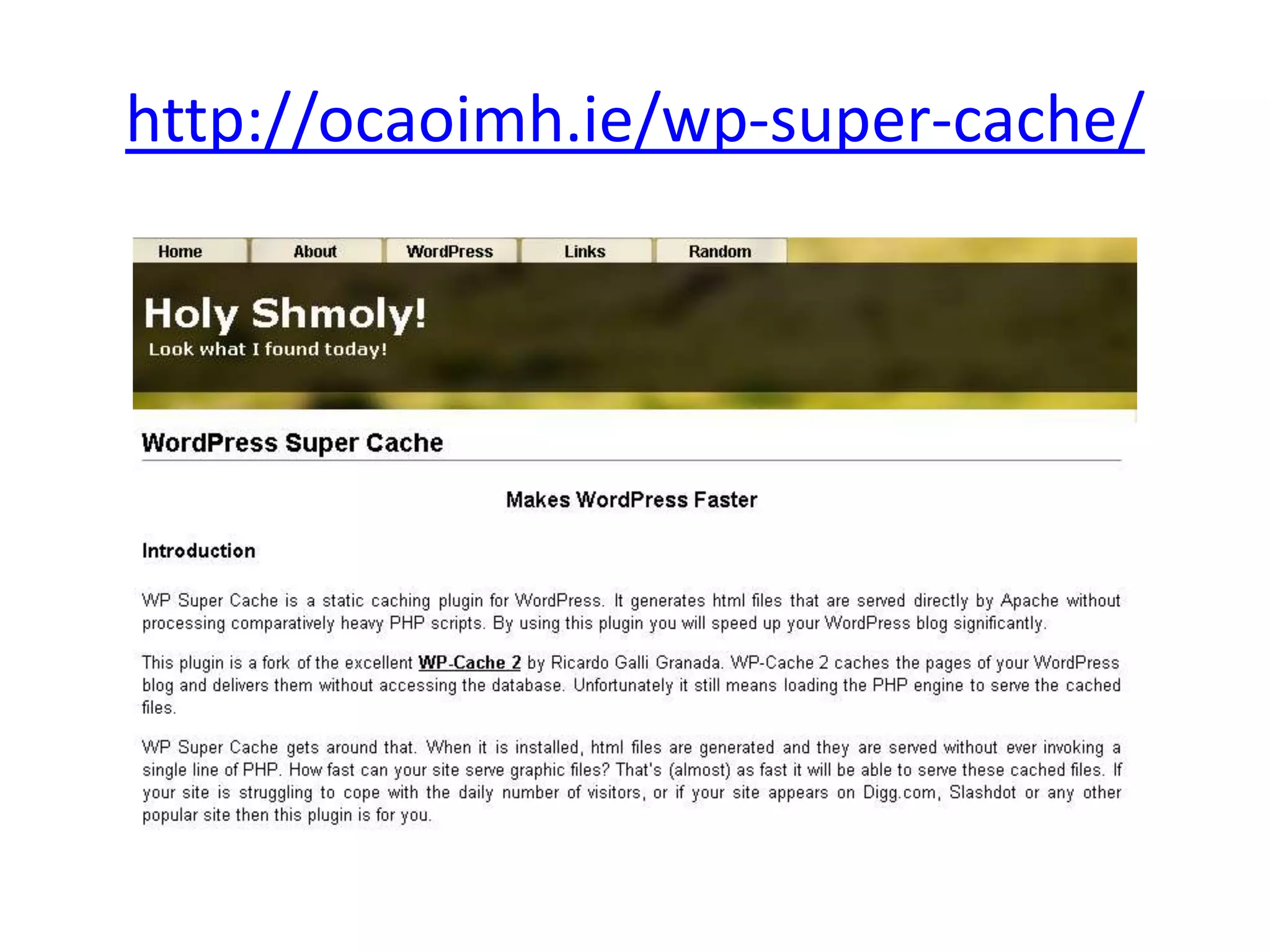 http://ocaoimh.ie/wp-super-cache/