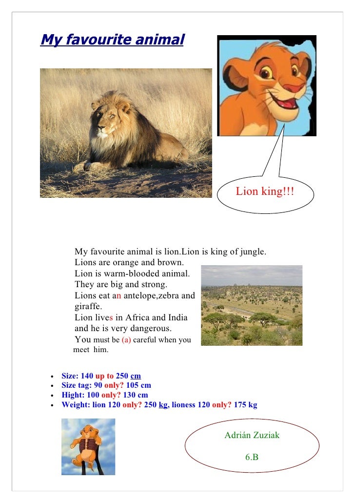 my favourite animal is lion essay