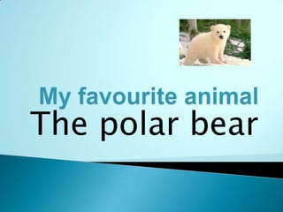The polar bear
 