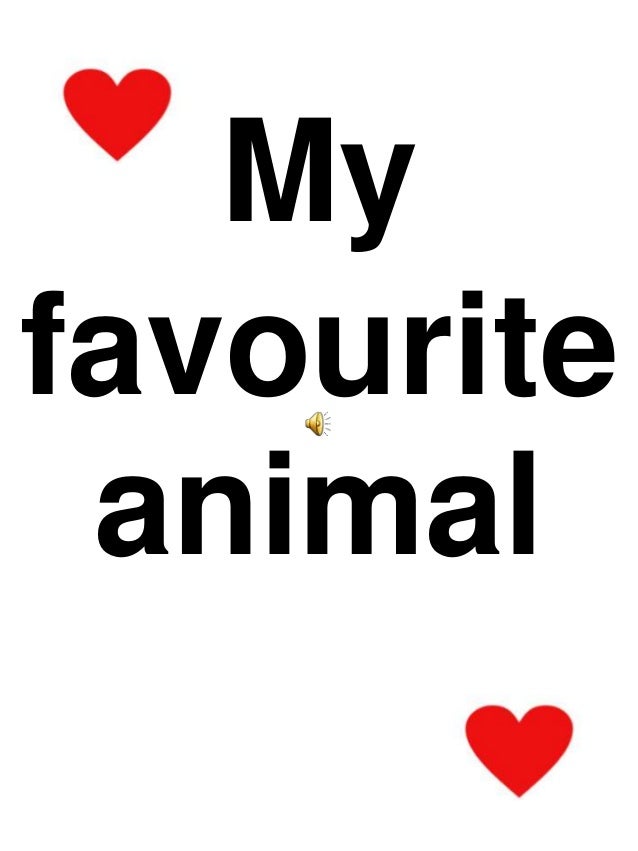My favourite animal
