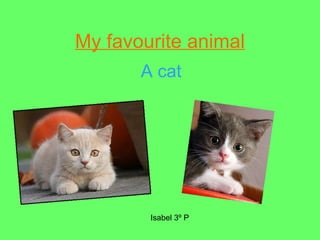 My favourite animal A cat Isabel 3º P 