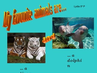 My  favourite  animals are... …  a tiger …  a dolphin and Lydia 5º P 