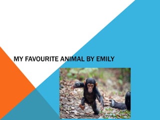 MY FAVOURITE ANIMAL BY EMILY
 