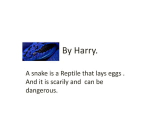 By Harry.
A snake is a Reptile that lays eggs .
And it is scarily and can be
dangerous.
 