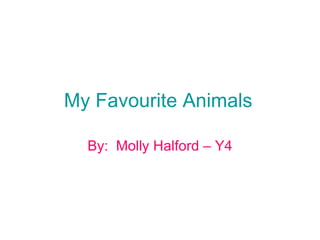 My Favourite Animals By:  Molly Halford – Y4 