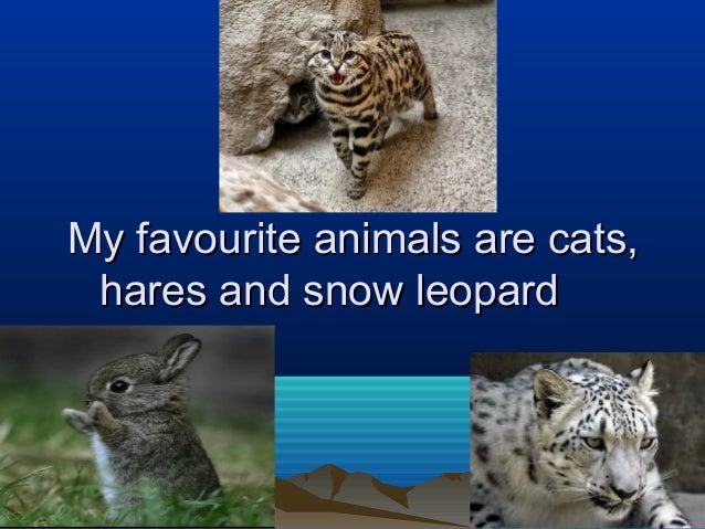 My favourite animals алмазова наташа