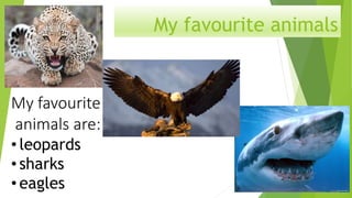 My favourite animals 
My favourite 
animals are: 
• leopards 
• sharks 
• eagles 
 