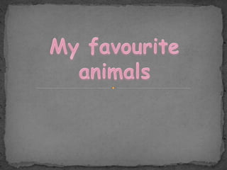 My favourite animals