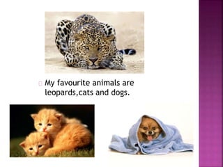 My favourite animals are 
leopards,cats and dogs. 
 
