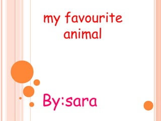 my favourite
   animal




By:sara
 