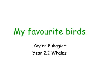 My favourite birds Kaylen Buhagiar Year 2.2 Whales 