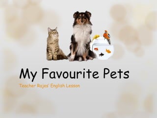 My Favourite Pets
Teacher Rajes’ English Lesson
 