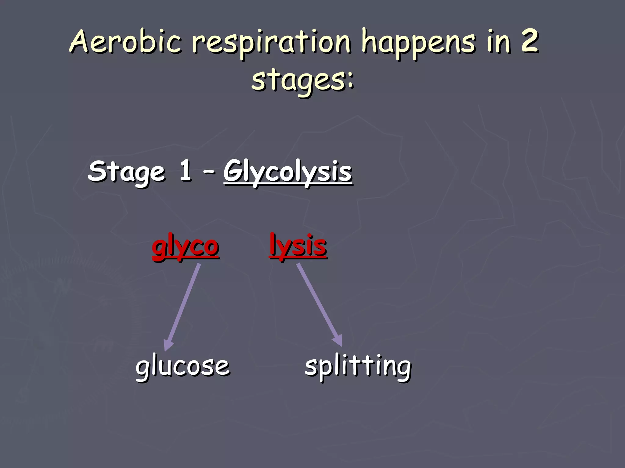 Aerobic and anaerobic respiration. | PPT
