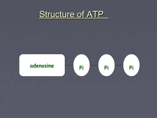 Aerobic and anaerobic respiration. | PPT