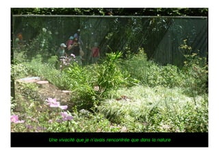 Une vivacité que je n’avais rencontrée que dans la nature
 