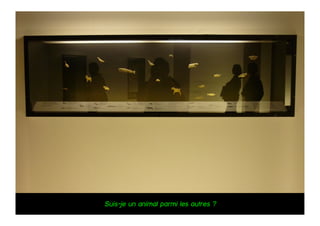 Suis-je un animal parmi les autres ?
 