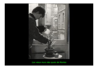 Les vieux murs des quais de Nantes
 