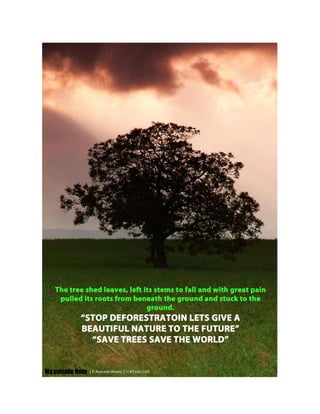 My First Article In College Magazine