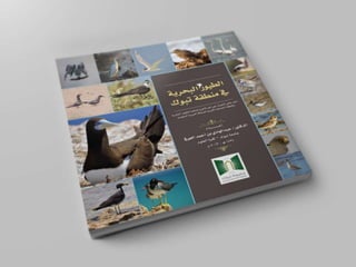 كتاب الطيور البحرية في منطقة تبوك , Seabirds of Tabuk region
