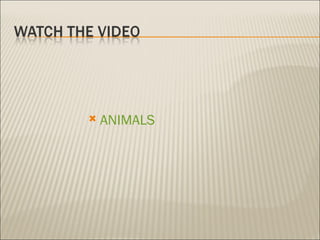 ANIMALS 