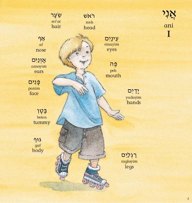 My First Hebrew Word Book
