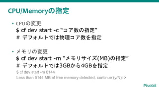CPU/Memoryの指定
• CPUの変更
$ cf dev start -c “コア数の指定”
# デフォルトでは物理コア数を指定
• メモリの変更
$ cf dev start -m “メモリサイズ(MB)の指定”
# デフォルトでは3GBから4GBを指定
$ cf dev start -m 6144
Less than 6144 MB of free memory detected, continue (y/N): >
 