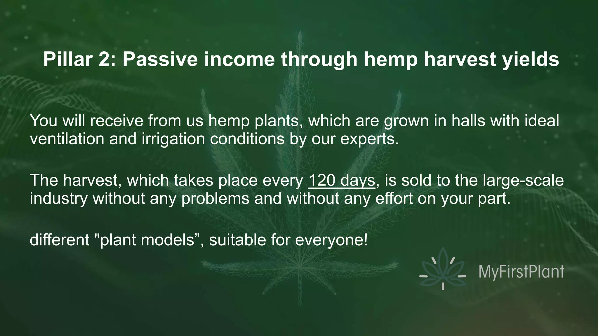 myfirstplant-english-pdf