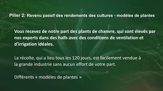 Pilier 2: Revenu passif des rendements des cultures - modèles de plantes
Vous recevez de notre part des plants de chanvre,...