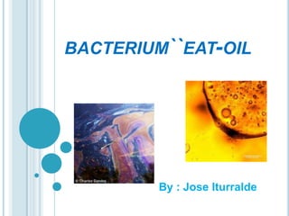 BACTERIUM``EAT-OIL




         By : Jose Iturralde
 