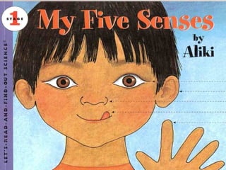 My five senses tale