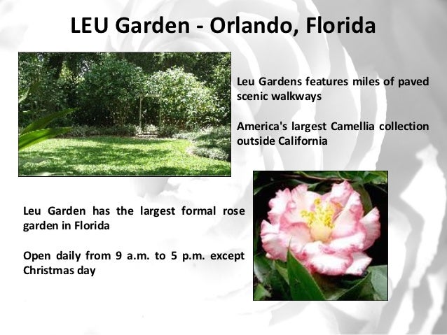 Unique Flower Garden Styles Of Florida and Vermont