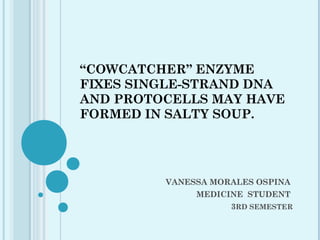 “COWCATCHER” ENZYME
FIXES SINGLE-STRAND DNA
AND PROTOCELLS MAY HAVE
FORMED IN SALTY SOUP.
 
 
VANESSA MORALES OSPINA
MEDICINE STUDENT
3RD SEMESTER
 