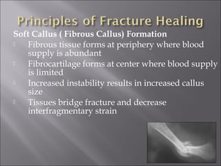 Soft Callus ( Fibrous Callus) Formation
 Fibrous tissue forms at periphery where blood
supply is abundant
 Fibrocartilage forms at center where blood supply
is limited
 Increased instability results in increased callus
size
 Tissues bridge fracture and decrease
interfragmentary strain
 