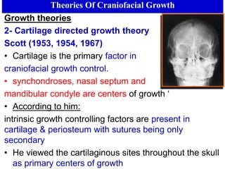 Theories Of Craniofacial Growth
Growth theories
2- Cartilage directed growth theory
Scott (1953, 1954, 1967)
• Cartilage is the primary factor in
craniofacial growth control.
• synchondroses, nasal septum and
mandibular condyle are centers of growth ‘
• According to him:
intrinsic growth controlling factors are present in
cartilage & periosteum with sutures being only
secondary
• He viewed the cartilaginous sites throughout the skull
as primary centers of growth
 