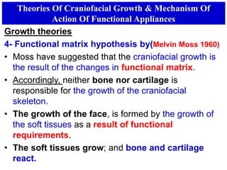 Theories Of Craniofacial Growth & Mechanism Of
Action Of Functional Appliances
Growth theories
4- Functional matrix hypothesis by(Melvin Moss 1960)
• Moss have suggested that the craniofacial growth is
the result of the changes in functional matrix.
• Accordingly, neither bone nor cartilage is
responsible for the growth of the craniofacial
skeleton.
• The growth of the face, is formed by the growth of
the soft tissues as a result of functional
requirements.
• The soft tissues grow; and bone and cartilage
react.
 