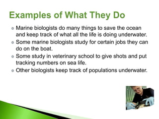 Marine biologists do many things to save the ocean
and keep track of what all the life is doing underwater.
Some marine biologists study for certain jobs they can
do on the boat.
Some study in veterinary school to give shots and put
tracking numbers on sea life.
Other biologists keep track of populations underwater.
 