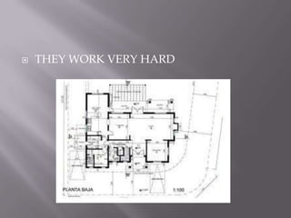  THEY WORK VERY HARD