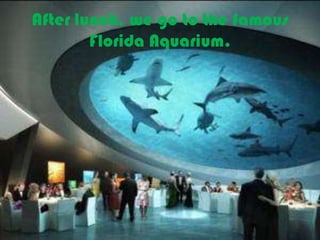 After lunch, we go to the famous
Florida Aquarium.
 