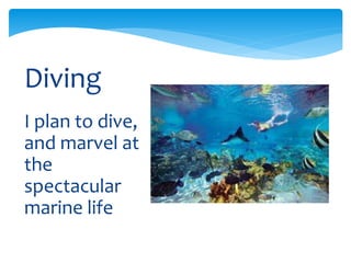 I plan to dive,
and marvel at
the
spectacular
marine life
Diving
 