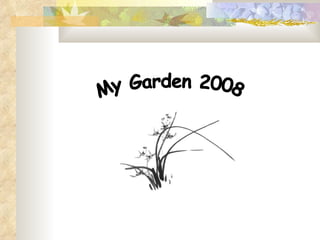 My Garden 2008 