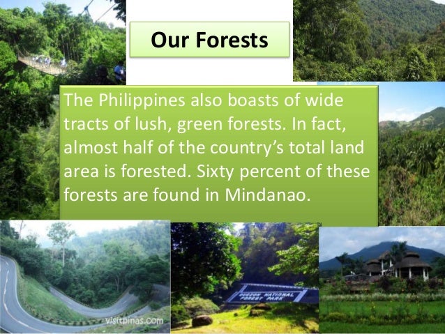 natural resources in the philippines Your source for mining, oil and gas, and energy news and updates in the philippines. natural resources in the philippines Your source for mining, oil and gas, and energy news and updates in the philippines.