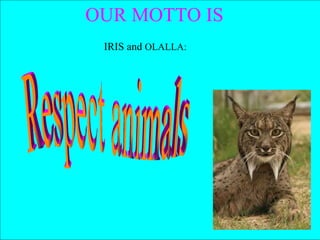 OUR MOTTO IS IRIS and  OLALLA: Respect animals 