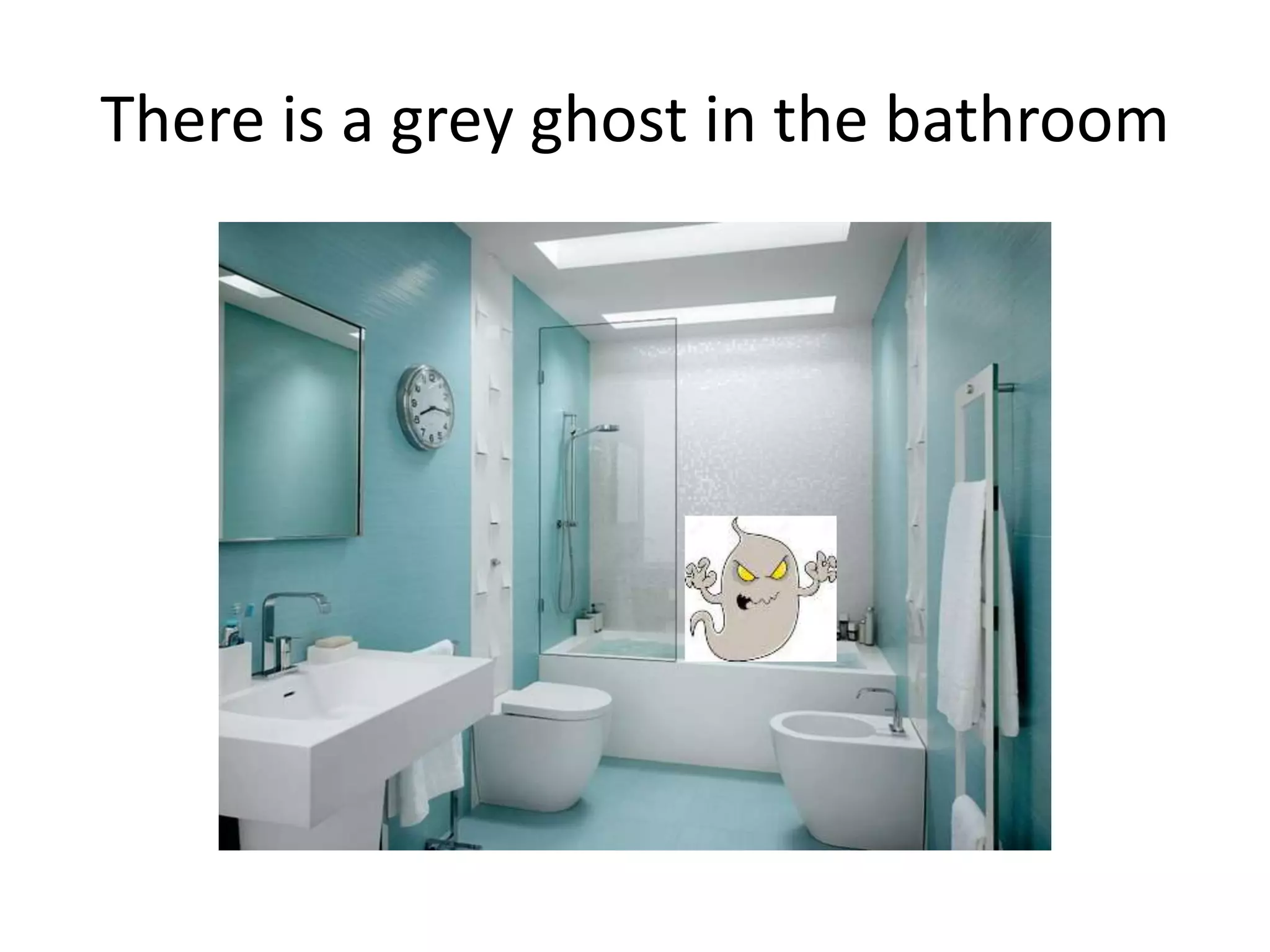 There is a grey ghost in the bathroom